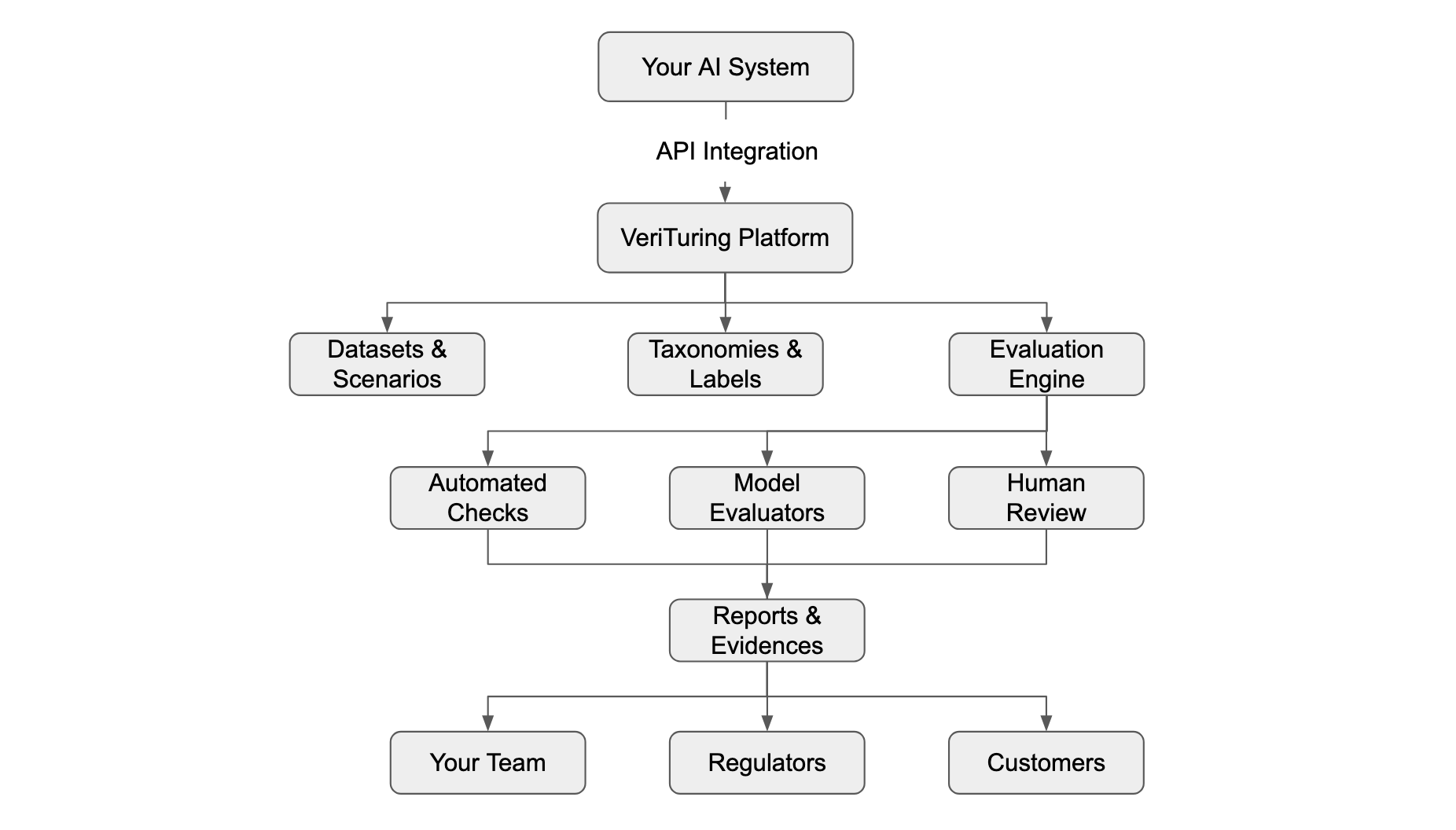 VeriTuring architecture diagram